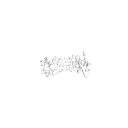 Skycall store